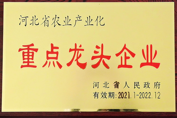 资质荣誉